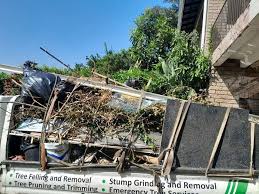 Best Shed Removal  in Dewey Humboldt, AZ
