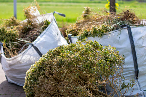 Best Dumpster Rental Services  in Dewey Humboldt, AZ